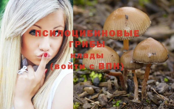 мдма Кодинск