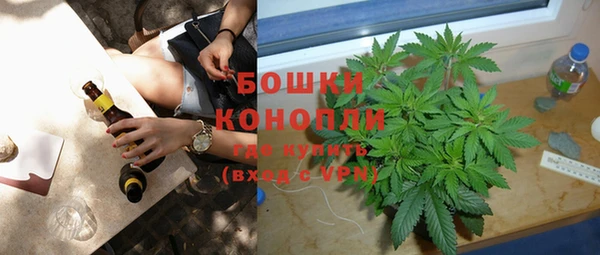 стаф Козельск